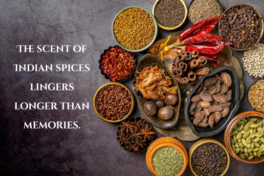 wholesale indian spices online uk