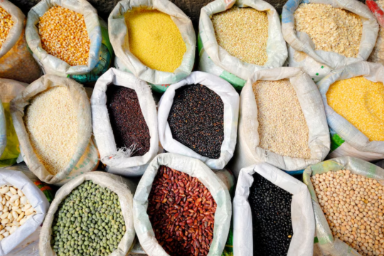 UK millet wholesale suppliers