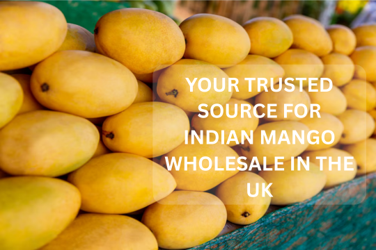 indian mango wholesale online in UK