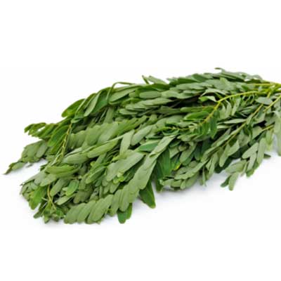 AGATHI KEERAI (SESBANIA GRANDIFLORA) 1 BUNCH