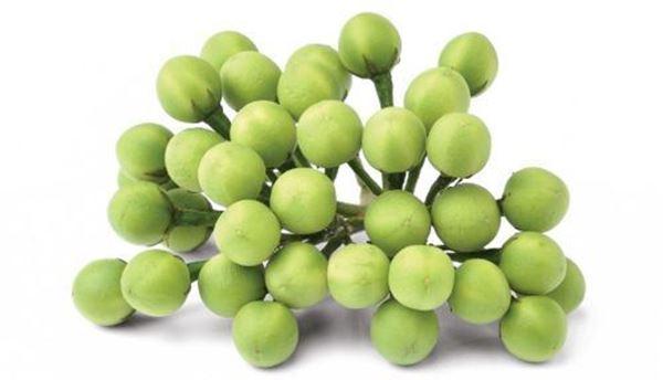 Turkey Berry (Sundaikkai) Wholesale Dealer