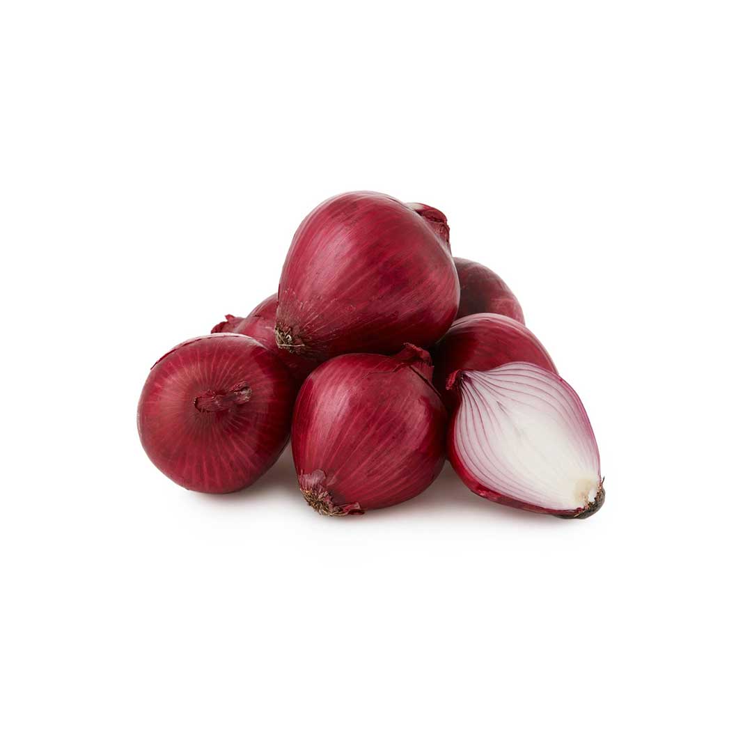 Red Onion 8Kg Wholesale Dealer and Distributor