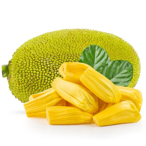Jackfruit Whole Wholesale Supplier and Distributor