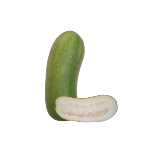 Pumpkin White (Poosanikkai-Ash Gourd) Wholesale Supplier and Distributor