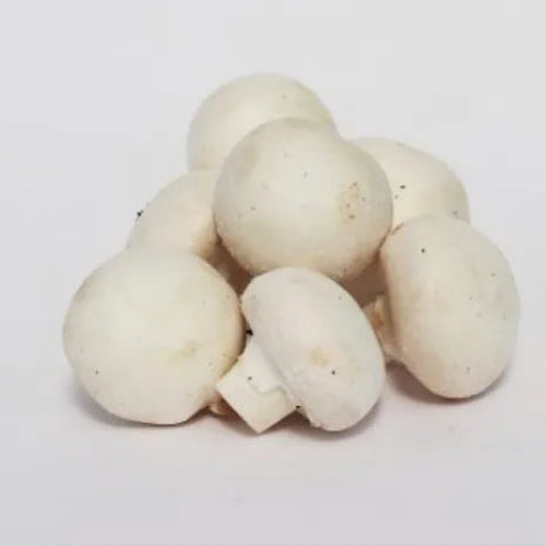 Mushroom (1 Box) Wholesale Supplier and Distributor