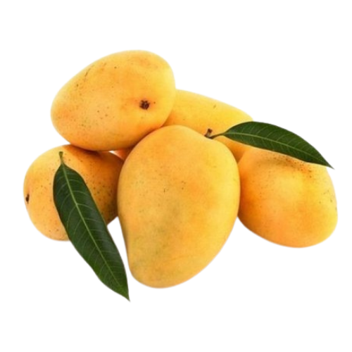Alphonso Mangoes Box 1.3 Kg Box (Approx 6 Pcs)