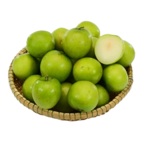 Indian Apple Bore Wholesale Dealer and Distributor