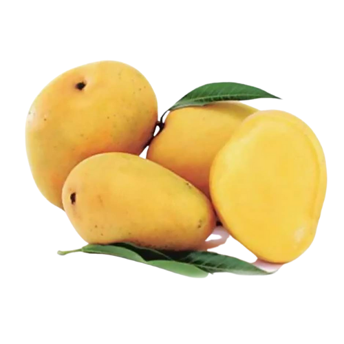 Banganapalli (Badami) Mangoes Box 1.3Kg Box (Approx 4 To 5 Pcs) Wholesale Seller