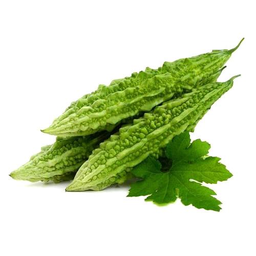 BITTER GOURD (PAGARKKAI-KARELA)