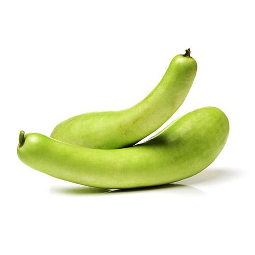 Bottle Gourd (Sorraikai-Long Dhudhi) (1 Box) Wholesale Seller