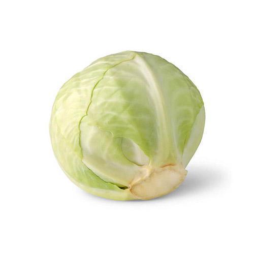 Cabbage White (1 Bag) Wholesale Supplier and Distributor