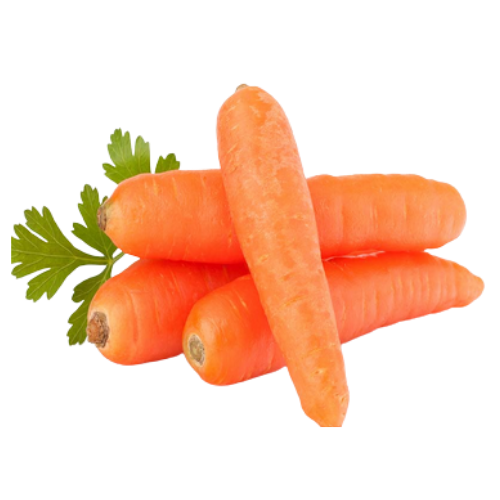 Carrot (1 Bag) Wholesale Supplier and Distributor