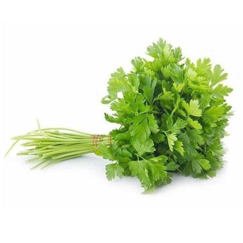 Coriander Leaves (1 Box) Wholesale Dealer