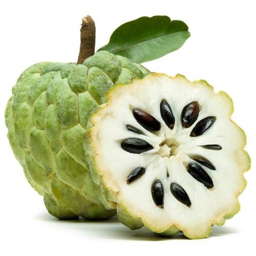 Custard Apple Wholesale Dealer and Distributor