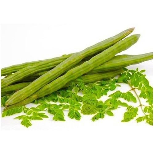 Drumstick (Murungaikai) 1Box Wholesale Seller