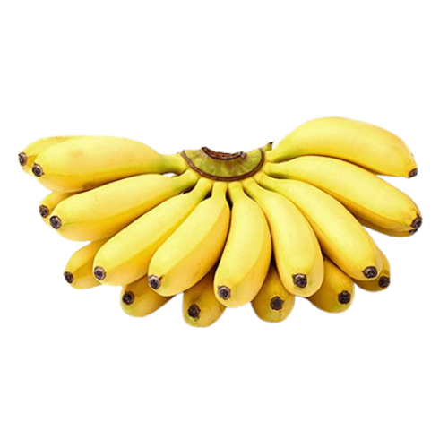 Elaichi Banana Wholesale Supplier and Distributor