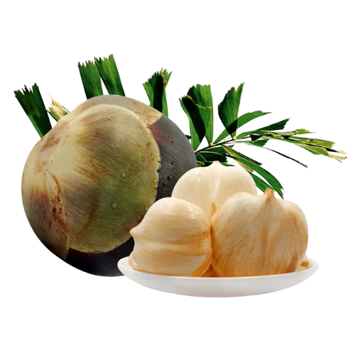 Fresh Ice Apple (Nungu / Tad Gola / Munjalu) Pealed (1 Box) Wholesale Seller