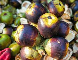 Fresh Ice Apple (Nungu/Tad Gola/Munjalu) Whole 1 Pc (2 Boxes) Wholesale Seller