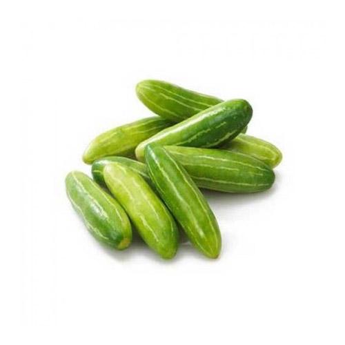 Ivy Gourd (Kovakkai-Tandoori) (1 Box) (5Kg) Wholesale Seller