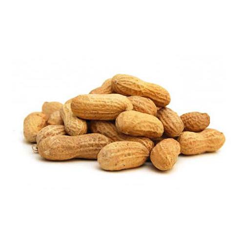 Fresh Peanut (1 Box) Aprox 5 Kg Wholesale Supplier