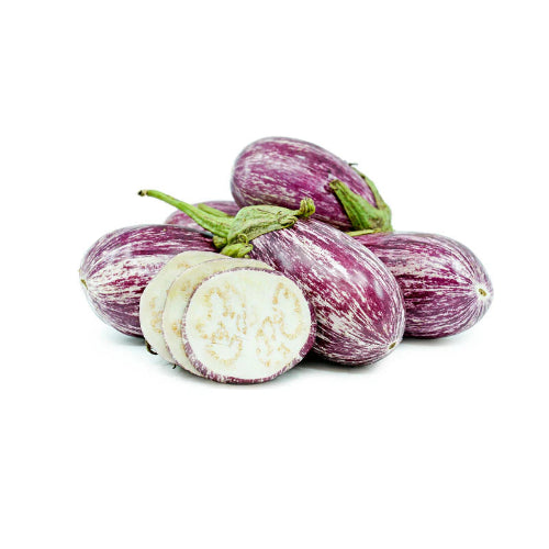 Round Graffiti Aubegine (Indian Aubergine) Wholesale Seller