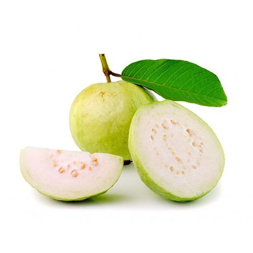 Indian Guava (1 Box) Wholesale Supplier and Distributor