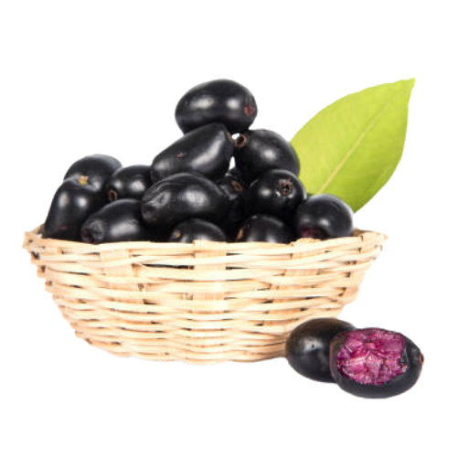 Jamun Fruit (Navalpalam) 1 Pack Wholesale Supplier