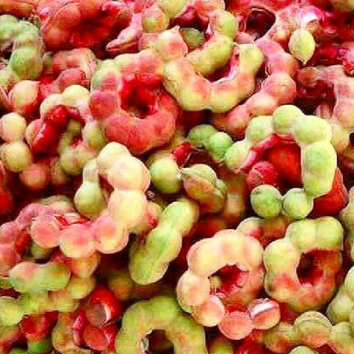 Kodukka Puli (Vilayat Imli) 500G (1 Box) Wholesale Supplier