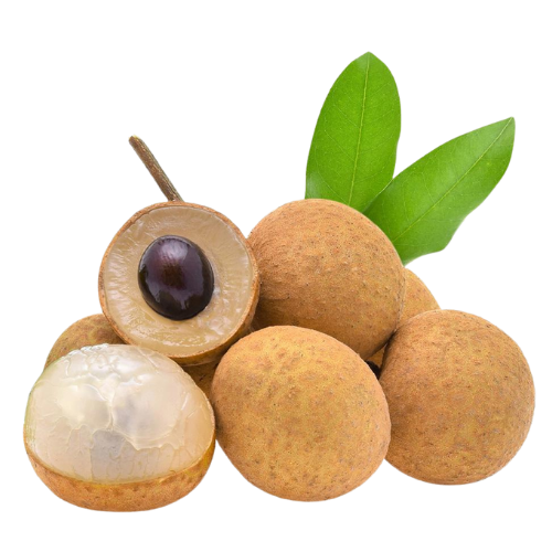 Longan Fruit Wholesale Dealer and Distributor