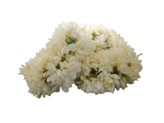 Jasmine Flower (Mullai) 5 Feet Box Wholesale Seller and Distributor