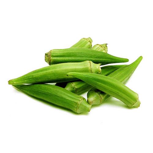Okra (Vendaikai-Ladies Finger) (1 Box) (4Kg) Wholesale Seller