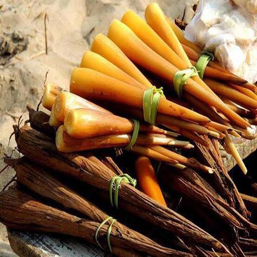 PALMYRA SPROUT (PANA KILANGU-THATI-GAYGULU)