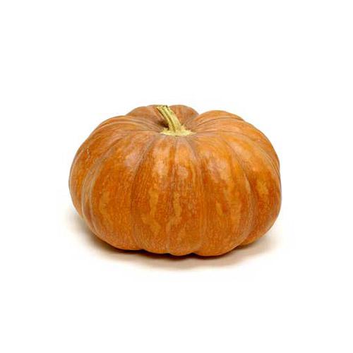 Indian Pumpkin Orange (Poosanikkai) (1 Box) Wholesale Seller