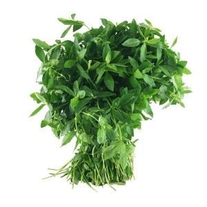 Ponnanganni Leaves (Alternanthera) (1 Box) Wholesale Seller