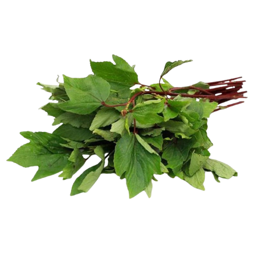 Sorrel Leaves (Gongura) (1 Box) Wholesale Supplier