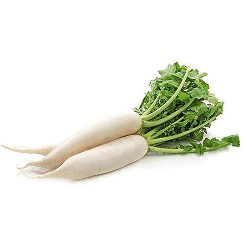 Raddish (Mullangi-Mooli) Wholesale Dealer
