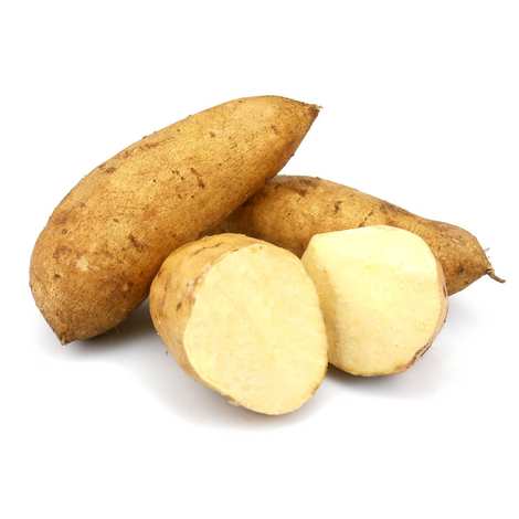 Sweet Potato - White Wholesale Dealer and Distributor