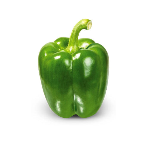 Green Capsicum (1 Box)