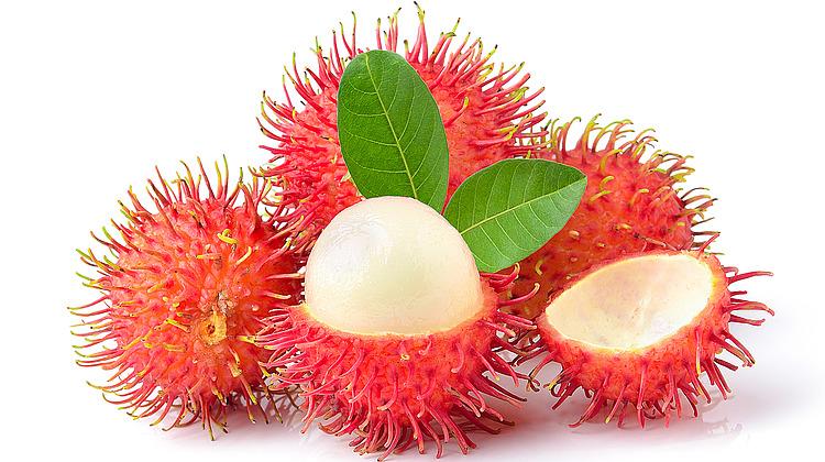 Ramputan Fruit Wholesale Supplier and Distributor