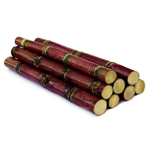 Sugarcane 5Kg Wholesale Dealer and Distributor
