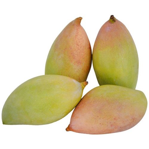 Thotapuri Mangoes (1 Box) Wholesale Seller