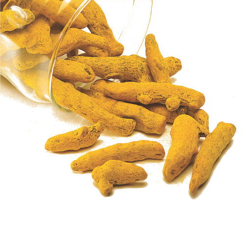 Gopuram Finger Turmeric