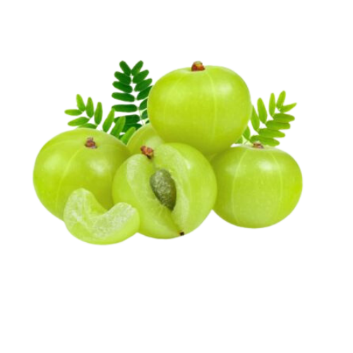 Amla (Nellikai) (1 Box) Wholesale Distributor