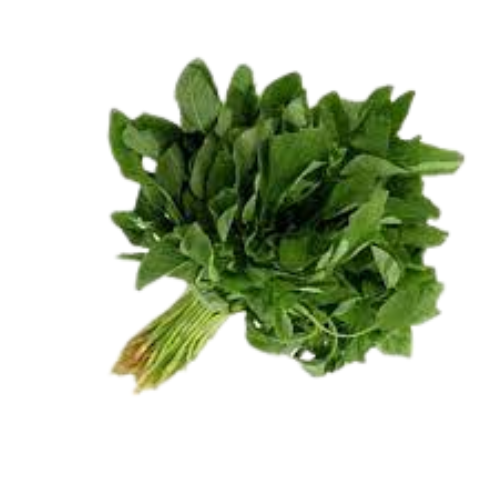 Green Thandu Keerai (Amaranthus Green) 1 Bunch (1 Box) Wholesale Distributor