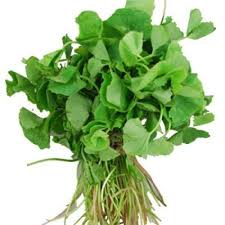 Vallarai (Centella Asiatica) 1 Bunch (1 Box) Wholesale Seller