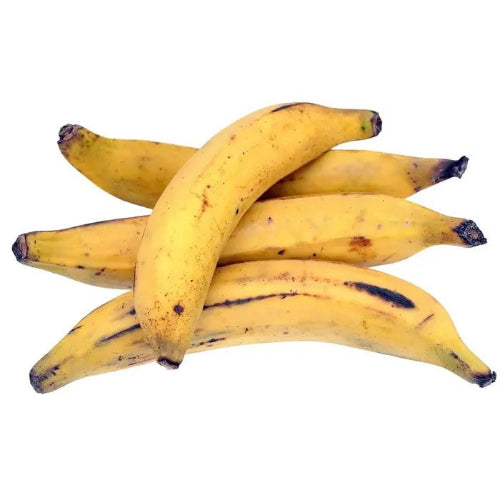 Nenthiran (Yellow Plantain) Banana 1 Box Wholesale Supplier