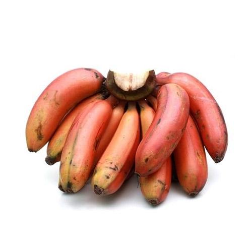 Red Banana (Sev Vazhai) Aprox 5 Kg Wholesale Seller and Distributor