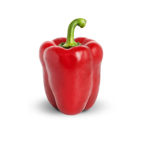 Mixed Capsicum (Traffic Light) Each 1 Pack Wholesale Seller