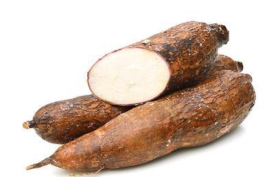 Cassava- Yam (1 Box) Wholesale Supplier and Distributor