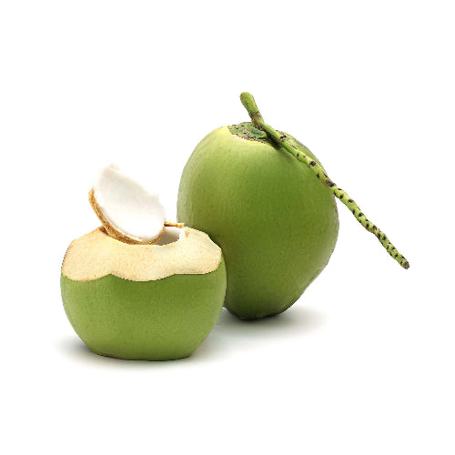 Tender Coconut (Jelly Nut) Wholesale Seller